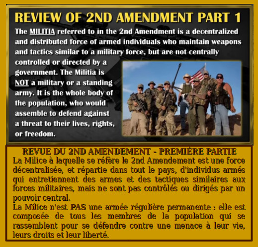 review of 2nd amendment